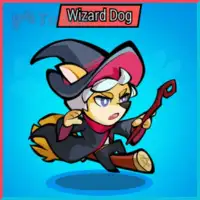 Wizard Dog