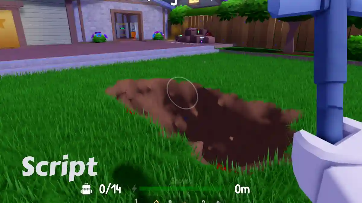 Dig the Backyard Script (1)