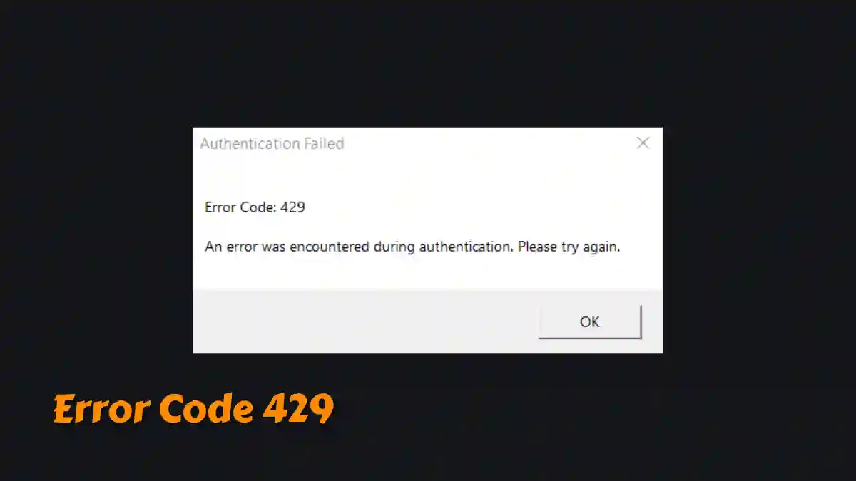 Fix Roblox Error Code 429