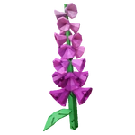 Grow a Garden Foxglove Grow a Garden Foxglove
