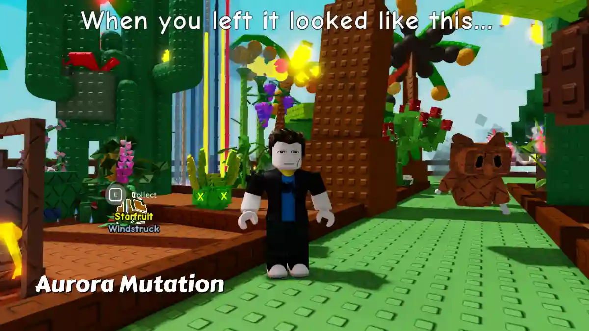 Aurora Mutation Multiplier