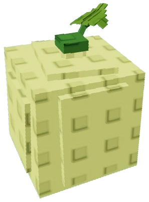 Cantaloupe crop Cantaloupe