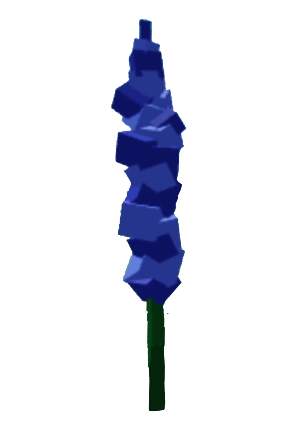 Delphinium Delphinium