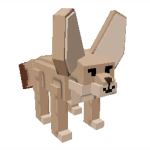 Fennec Fox Fennec Fox