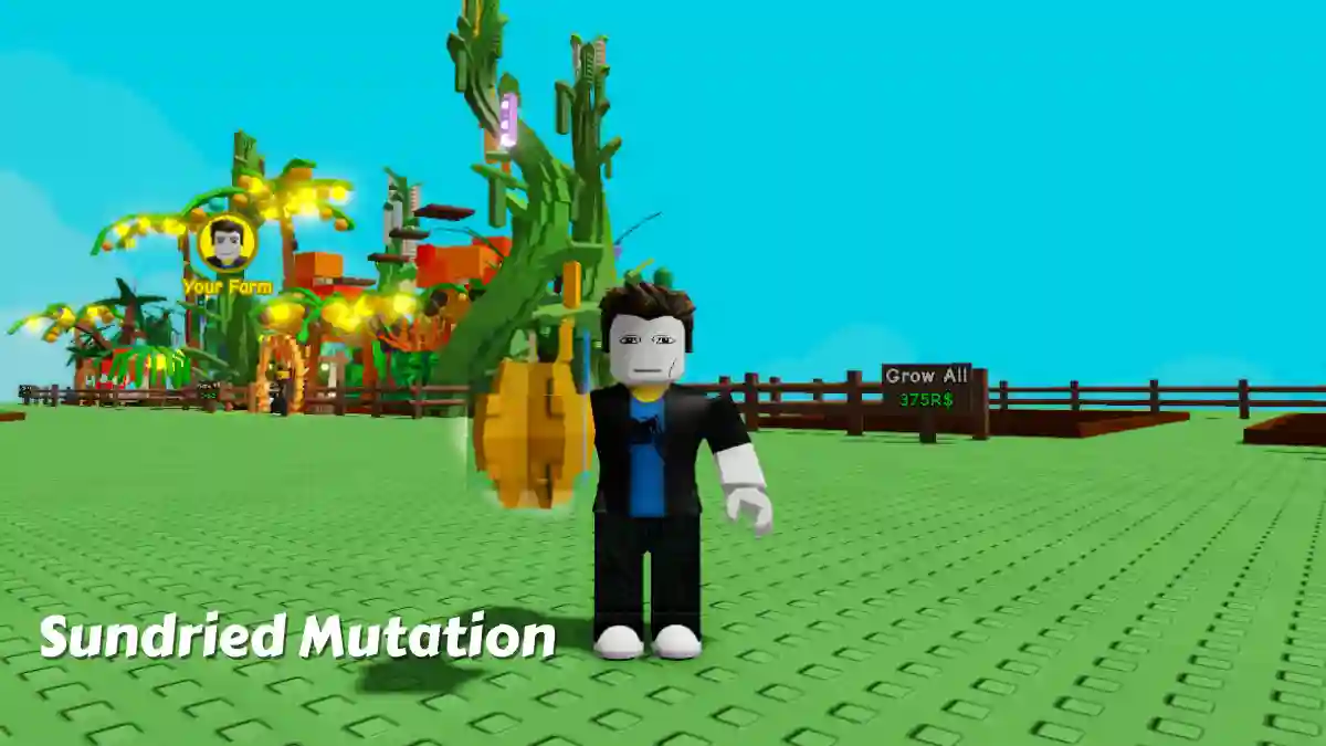 Grow a Garden Sundried Mutation Multiplier