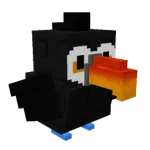 Toucan Toucan