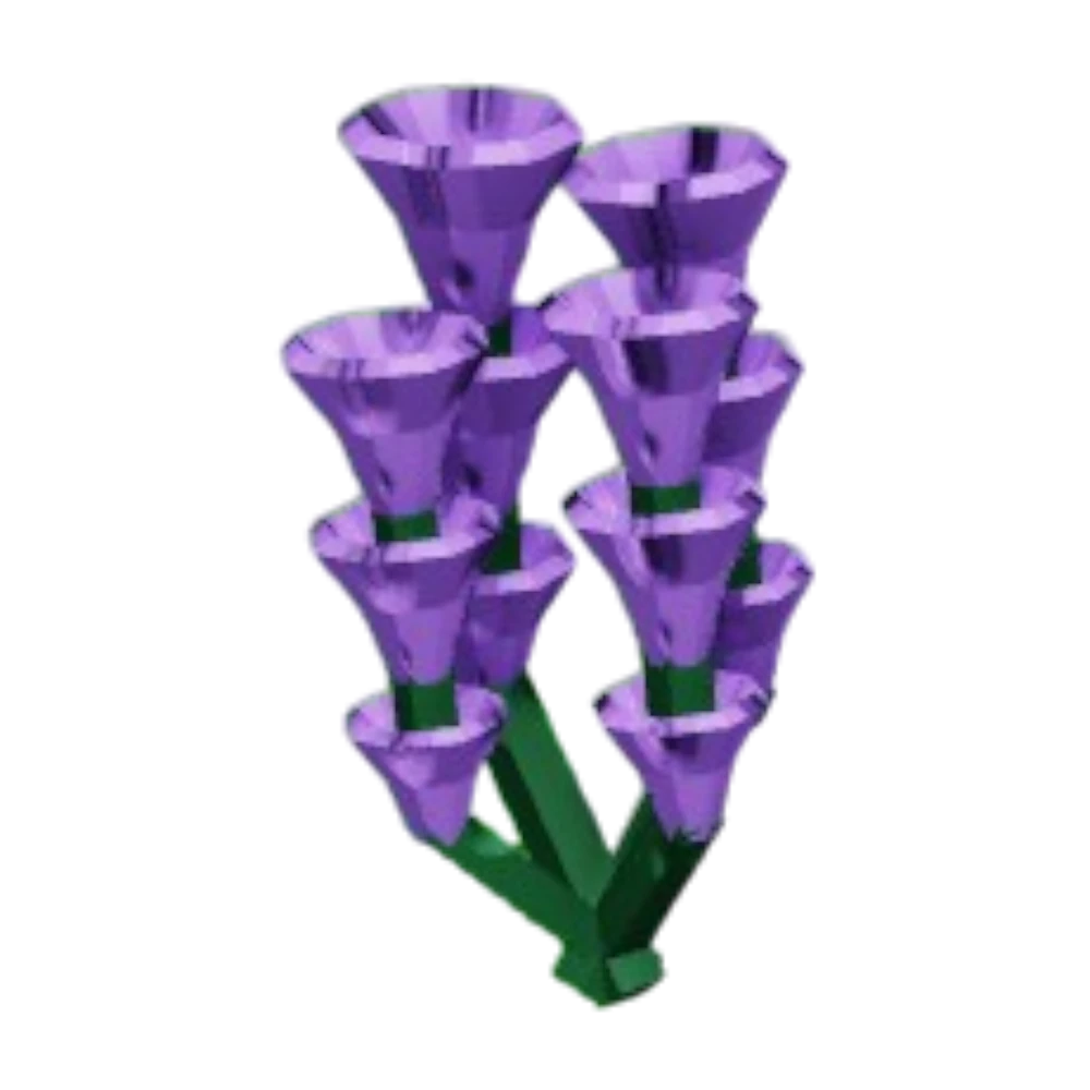 Lavender Lavender