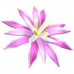 Paradise Petal Paradise Petal