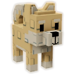 Shiba Inu Shiba Inu