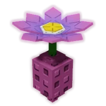 Taro Flower Taro Flower