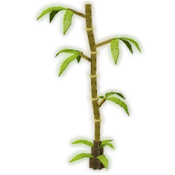 Bamboo Tree Bamboo Tree