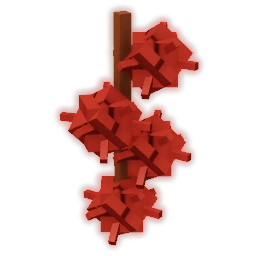 Castor Bean Castor Bean