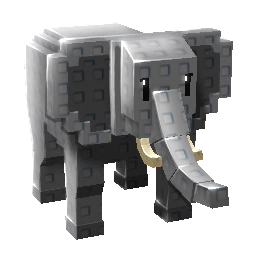 Elephant Pet Elephant