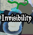 Invisibility Invisibility