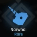 Narwhal