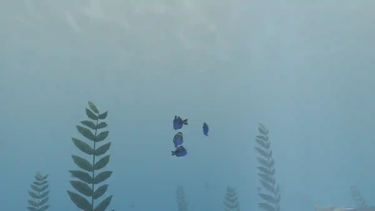 Seahorse Location and How to Get in Abyss