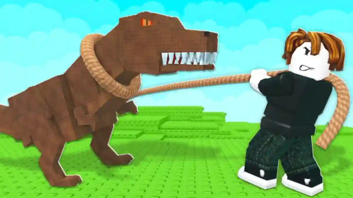 Catch and Tame a Strong Lasso How to Get Them